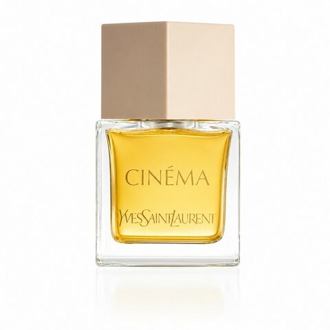 YVES SAINT LAURENT Cinéma